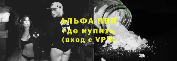 шишки Белокуриха