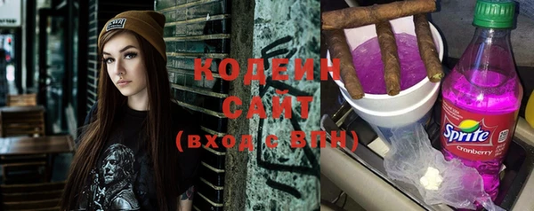 шишки Белокуриха