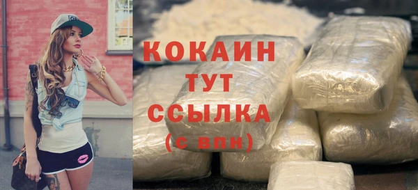 шишки Белокуриха
