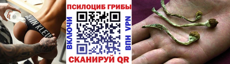 цены   Обь  Галлюциногенные грибы ЛСД 