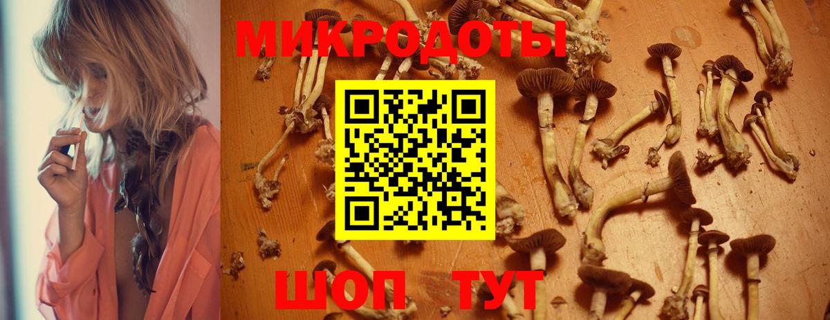 Обь  купить закладку  Галлюциногенные грибы Psilocybe  Вход с VPN  Псилоцибиновые грибы прущие грибы 